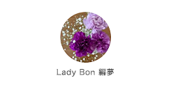 Lady Bon 編夢